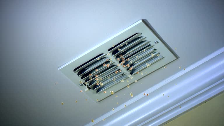 Best Air Duct Cleaning Near Me  in Morgantown, MS