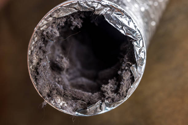 Best Air Duct Cleaning Near Me  in Morgantown, MS